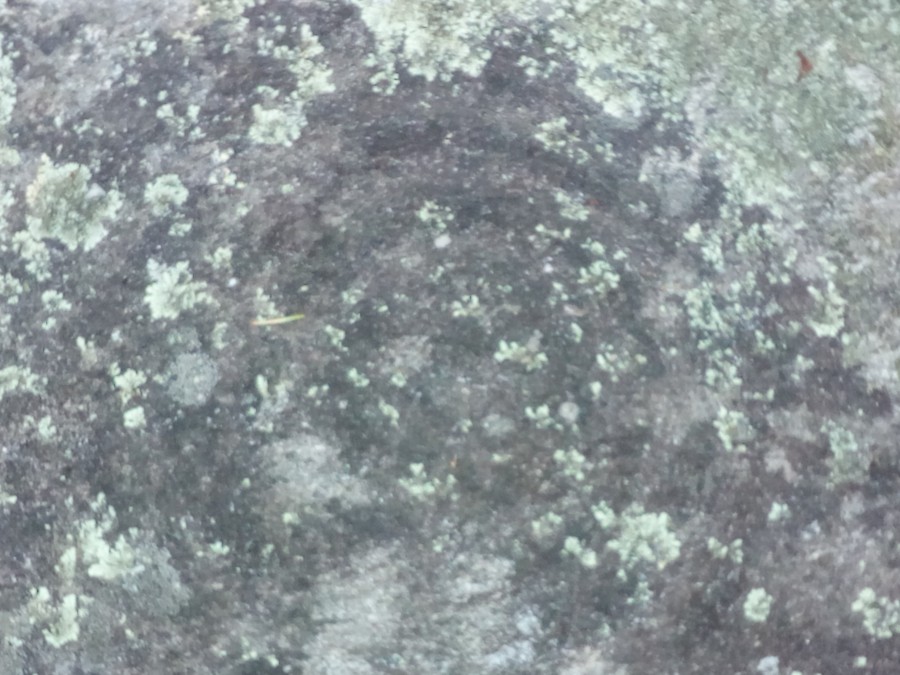Petroglifo da Picota