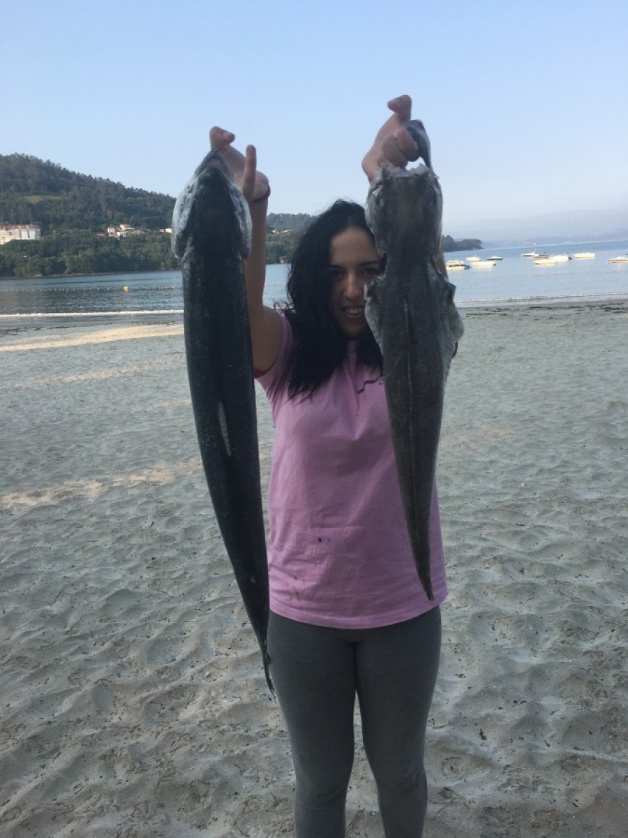 Pescado del cerco