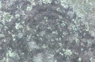 Petroglifo da Picota