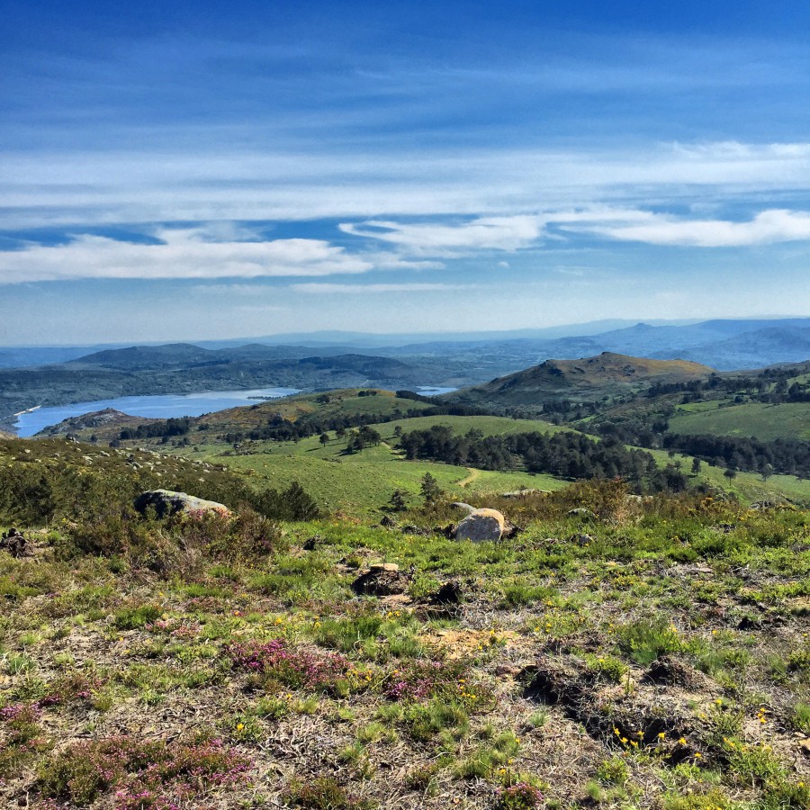 Ruta de Salgueiro