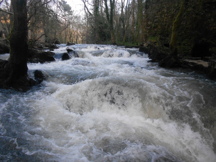 A la vereda del río.