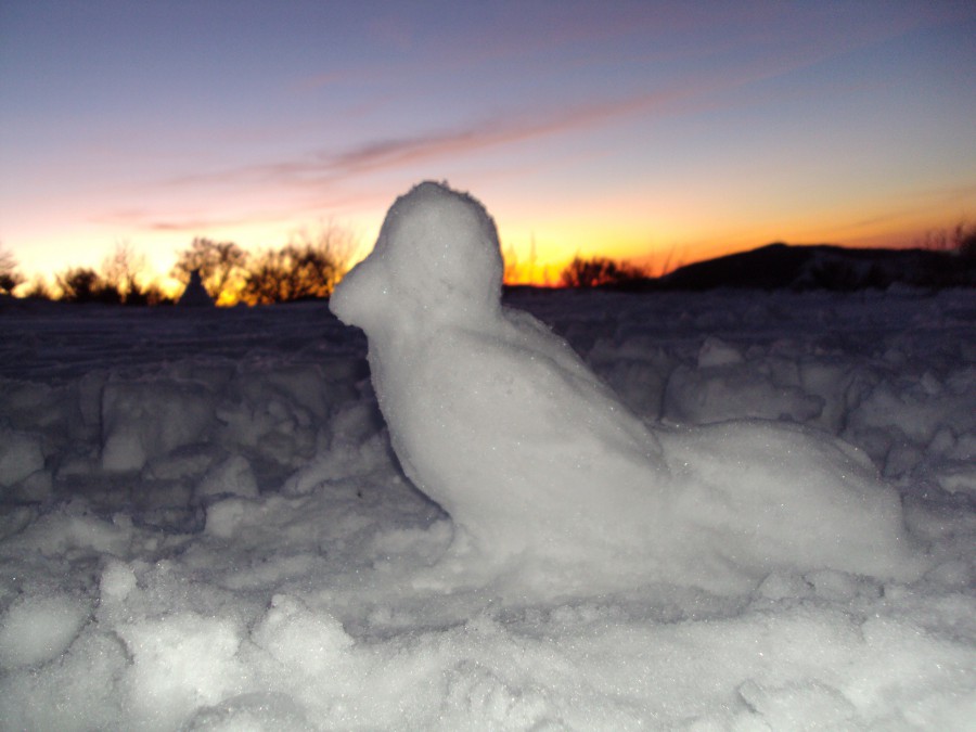 Ave de nieve en Cebreiro Lugo