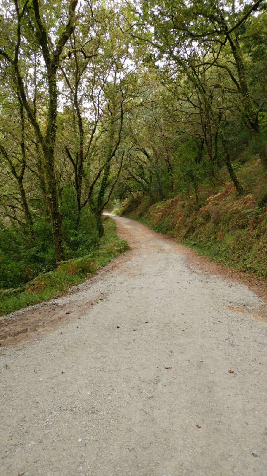 Ruta hacia a fervenza do Toxa