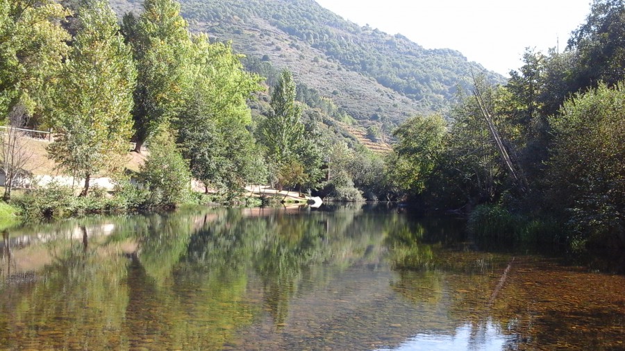 Reflejos en las aguas del Rio Bibey