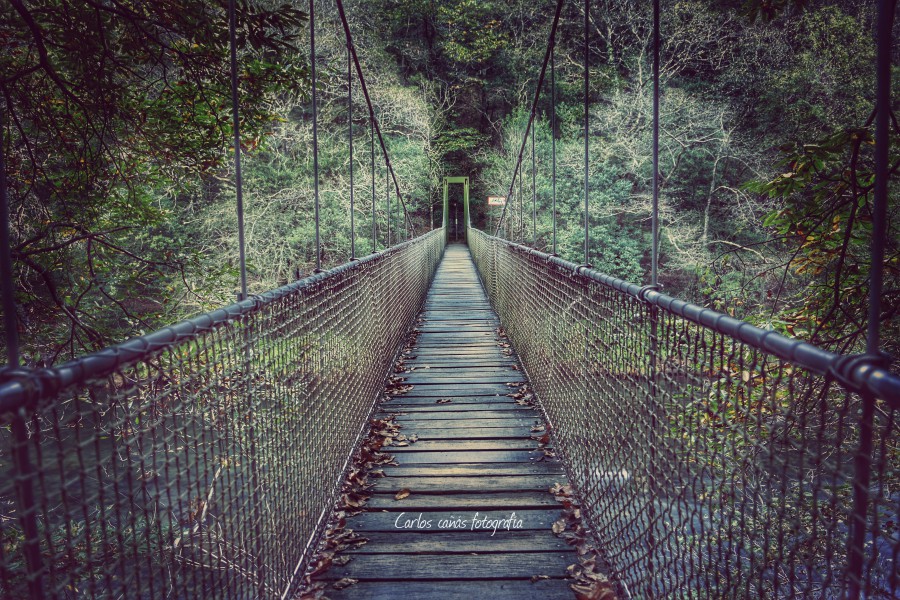 Puente colgante