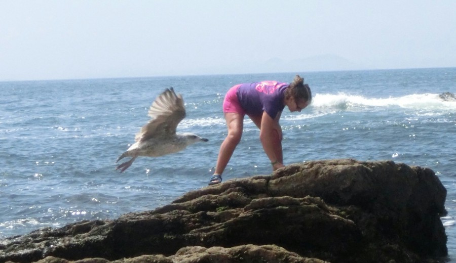 Caminando por las rocas