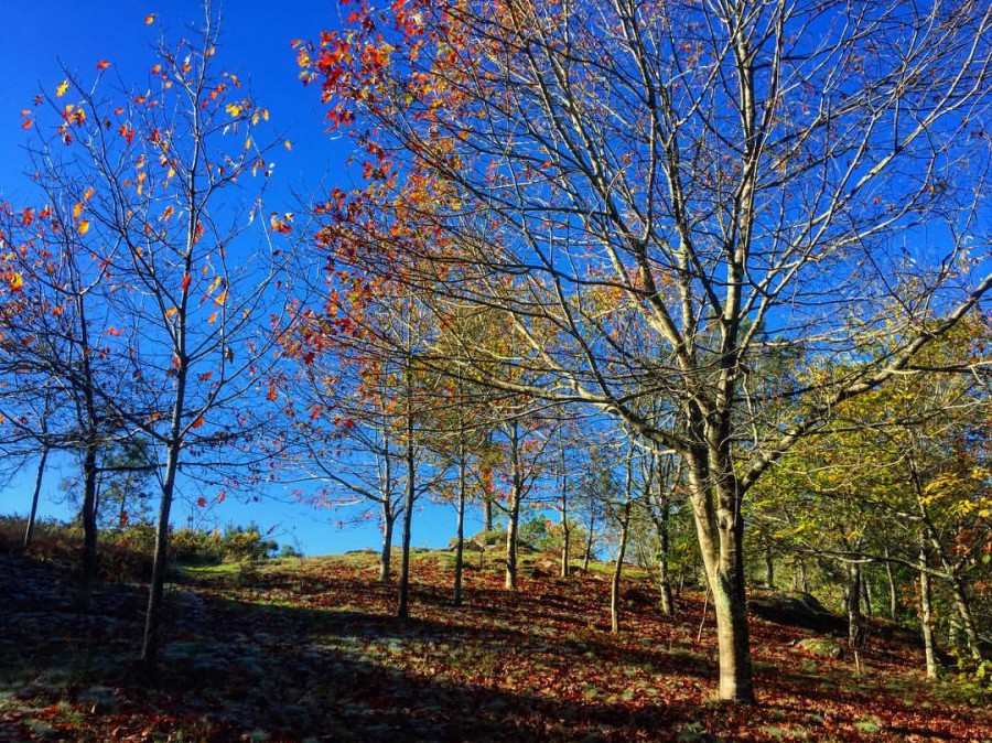 Descubriendo el otoño en ruta por Coruxo