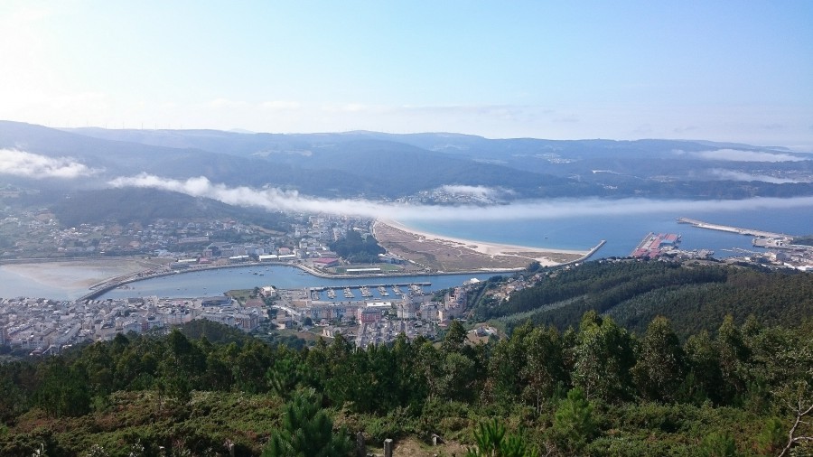 Viveiro dende San Roque 