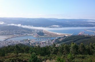 Viveiro dende San Roque 